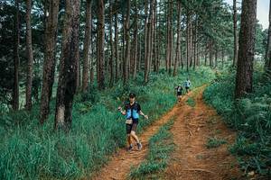 BIB: 
                            <button type="button" onclick="openModal(25666099)" class="btn btn-primary btn-sm float-right btn-popup" data-toggle="modal" data-target=".modal-high-quality">
                        <i class="fas fa-shopping-cart"></i> Add to Cart
                    </button>
                                            <button type="button" onclick="isThisMe(25666099, true)" class="btn btn-success btn-sm float-right btn-popup btn-isme hidden" data-toggle="tooltip" data-placement="bottom" title="นี่คือรูปของคุณใช่ไหม คลิกที่นี่เพื่อเอาเข้าอัลบั้ม">
                        <i class="fas fa-plus"></i> Add to album
                    </button>
                    <button type="button" onclick="isThisMe(25666099, false)" class="btn btn-warning btn-sm float-right btn-popup btn-isnotme hidden">
                        <i class="fas fa-ban"></i> Remove from album
                    </button>